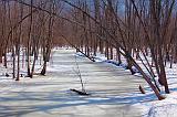 Frozen Creek_14651